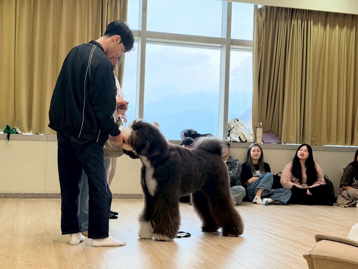 115.04.22心輔四班級講座－認識寵物輔助治療圖片