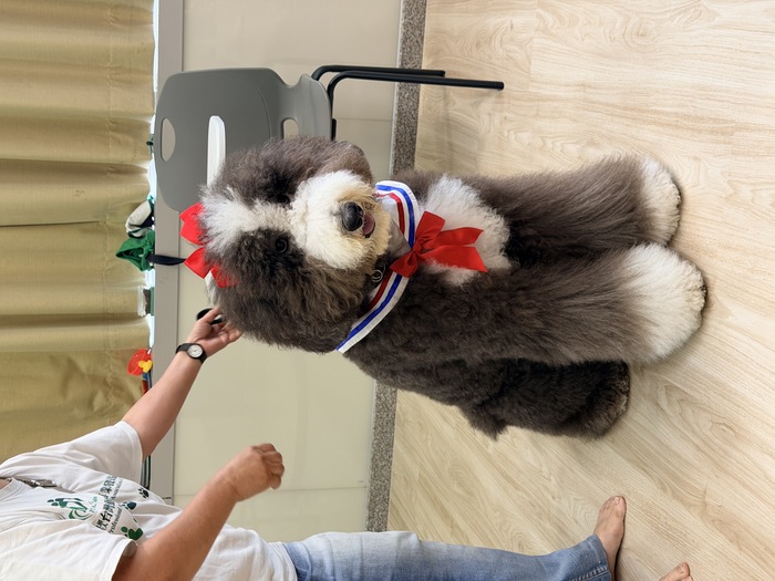 115.04.22心輔四班級講座－認識寵物輔助治療圖片